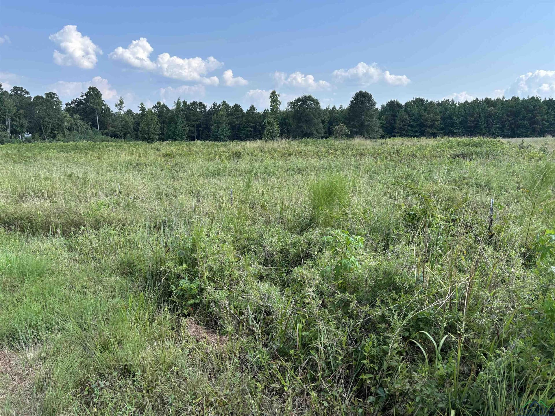 6.62 acres in Marion County - photo 4