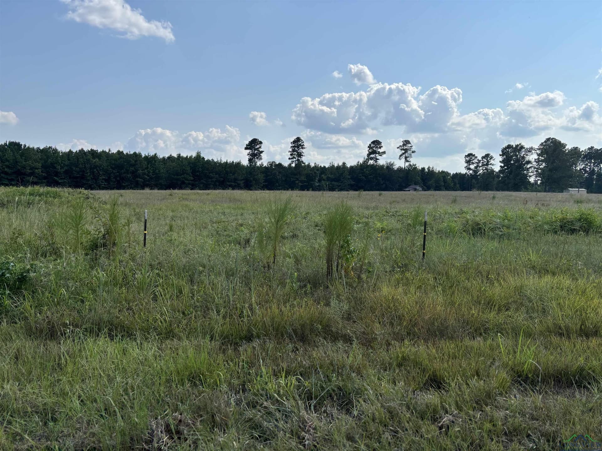 6.62 Acres Hwy 49