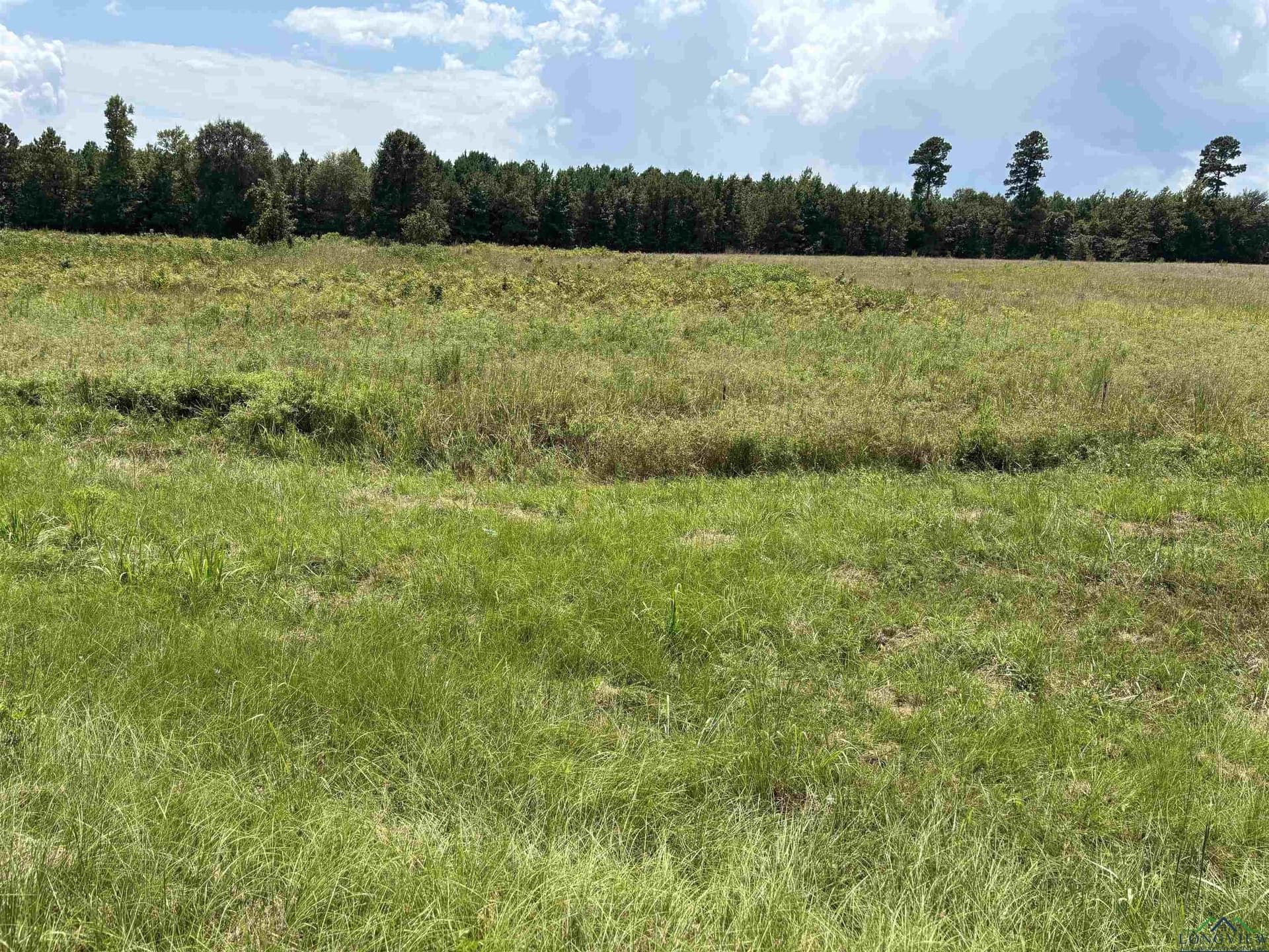 6.62 acres in Marion County - photo 7