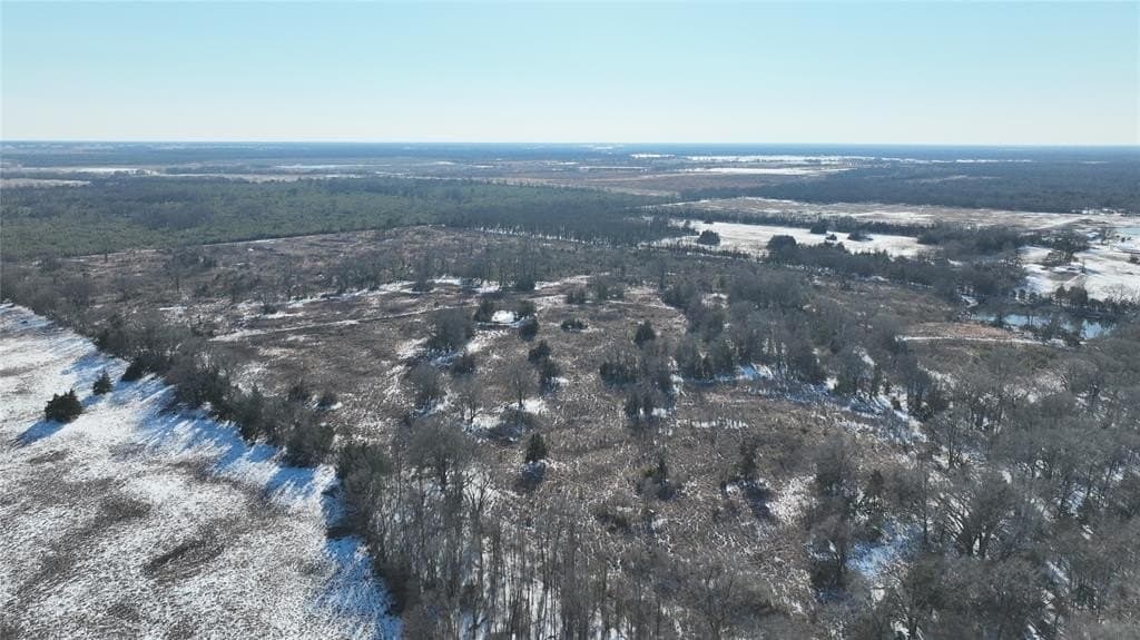 99.55 acres in Red River County - photo 10