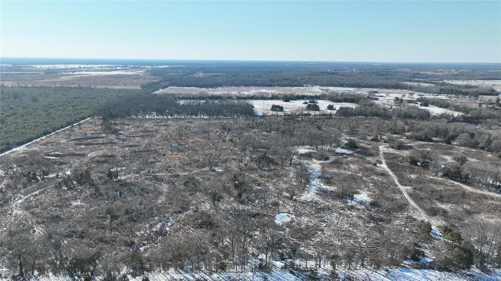 99.55 acres in Red River County - photo 6