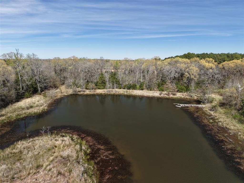 99.55 acres in Red River County - photo 24
