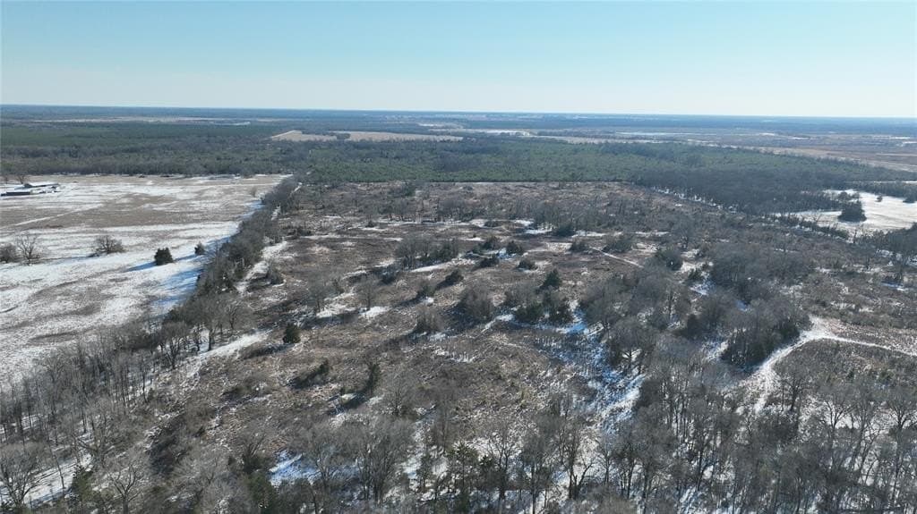 99.55 acres in Red River County - photo 11