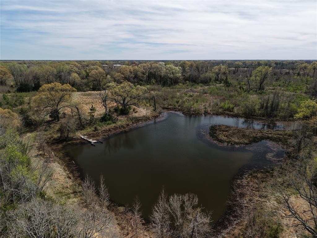 99.55 acres in Red River County - photo 25