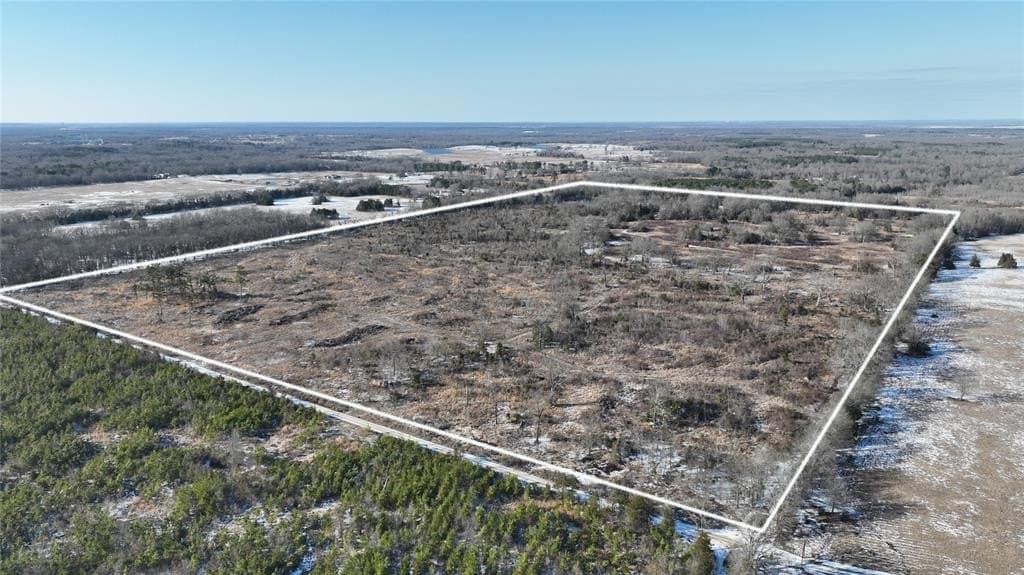 99.55 acres in Red River County - photo 4