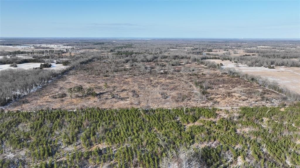 99.55 acres in Red River County - photo 22