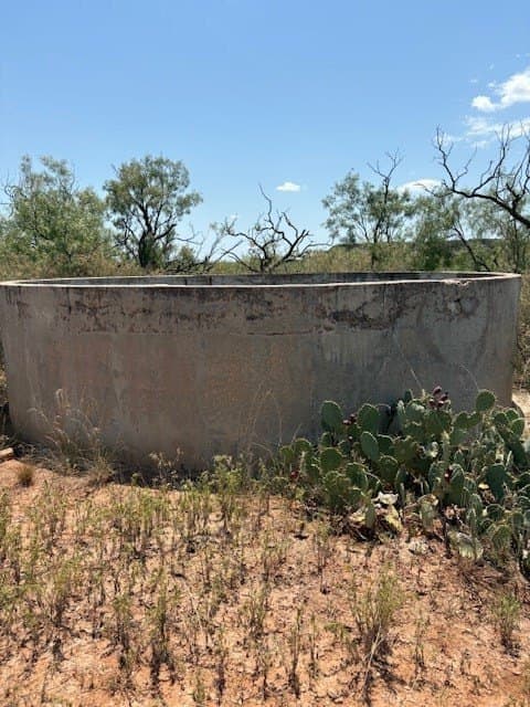 174.1 acres in Coke County - photo 3