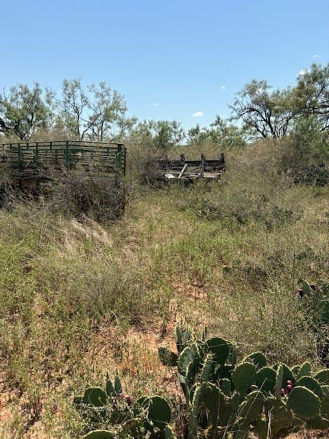 174.1 acres in Coke County - photo 7