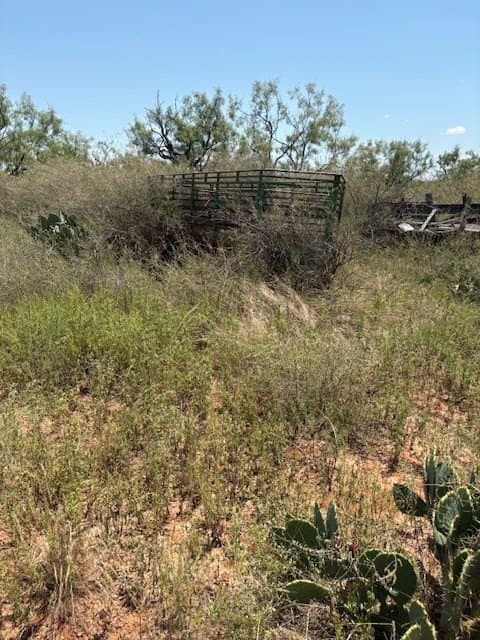 174.1 acres in Coke County - photo 6