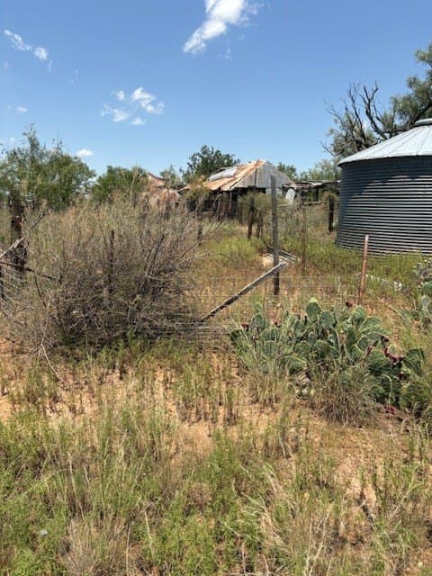 174.1 acres in Coke County - photo 4