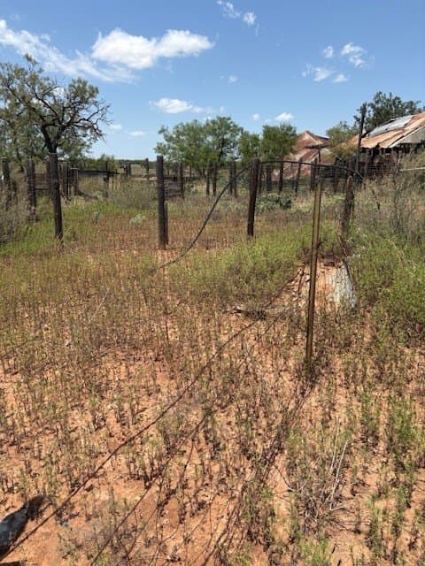 174.1 acres in Coke County - photo 5
