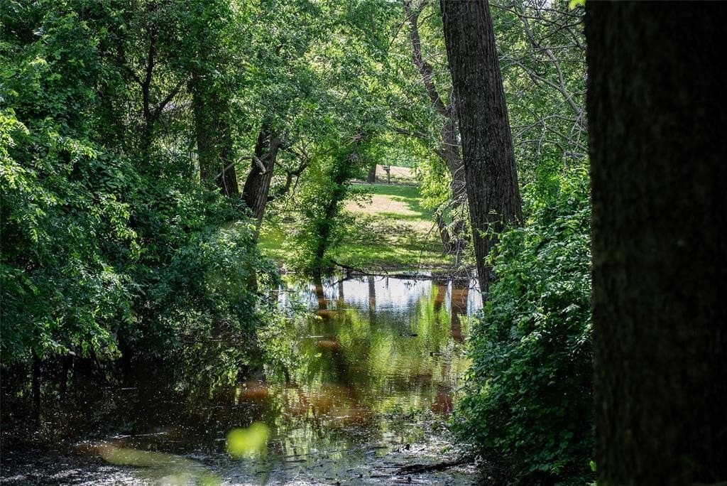 20.05 acres in Wise County - photo 10