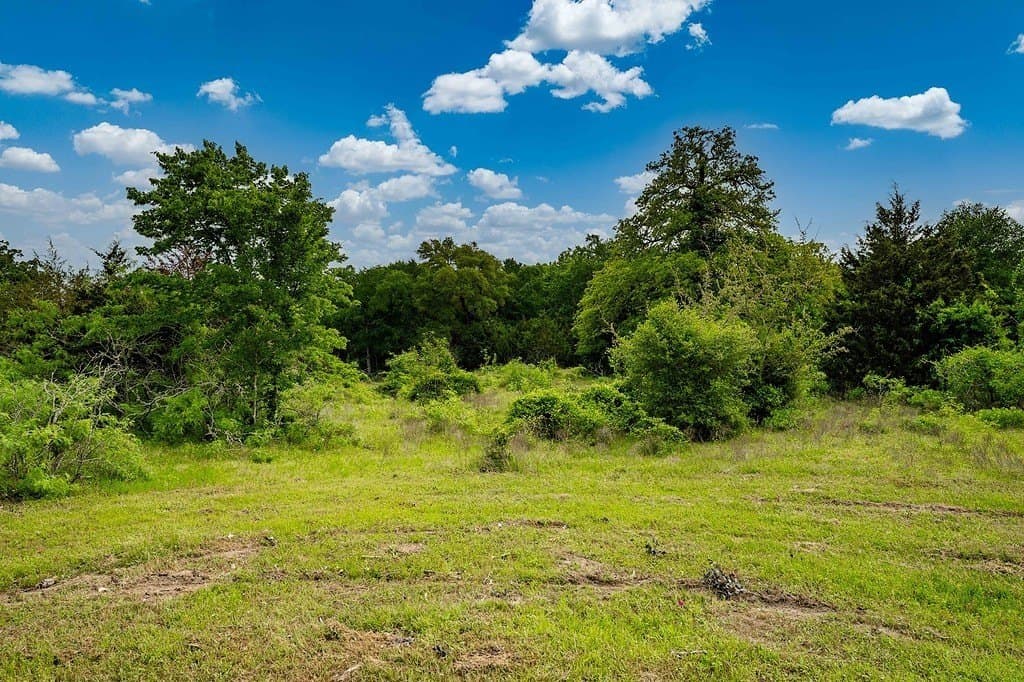 6.25 acres in Fayette County - photo 10