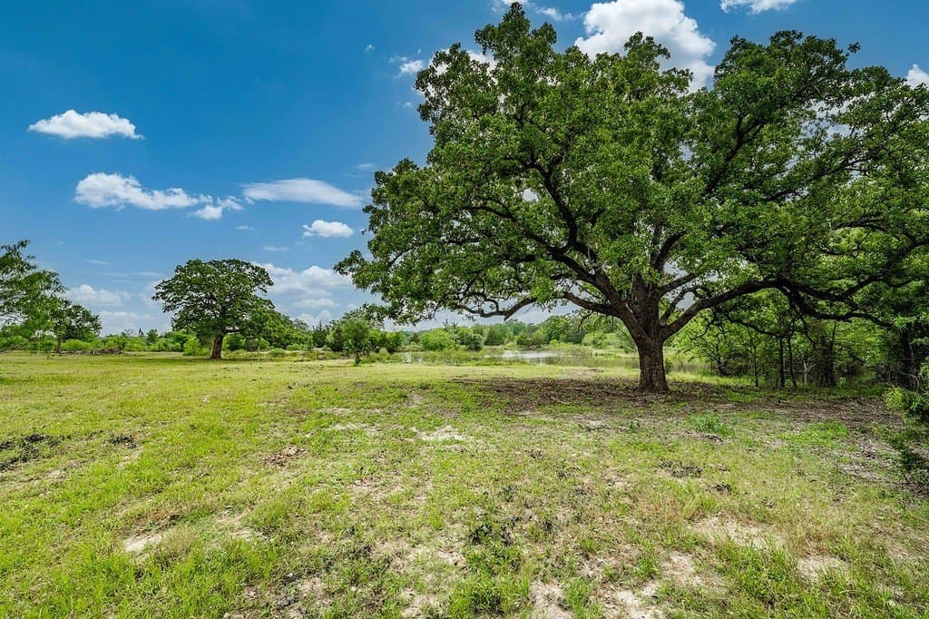 6.25 acres in Fayette County - photo 11