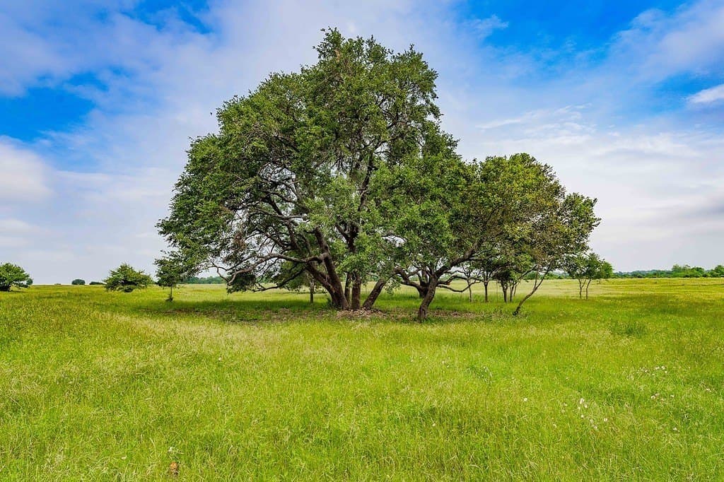 6.25 acres in Fayette County - photo 19