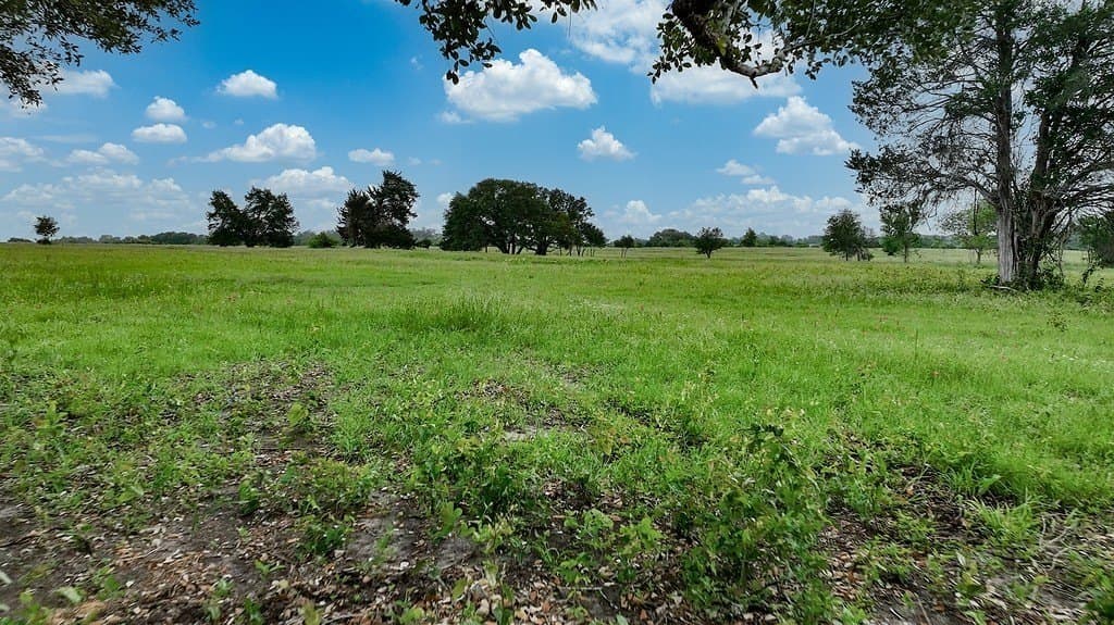 6.25 acres in Fayette County - photo 15