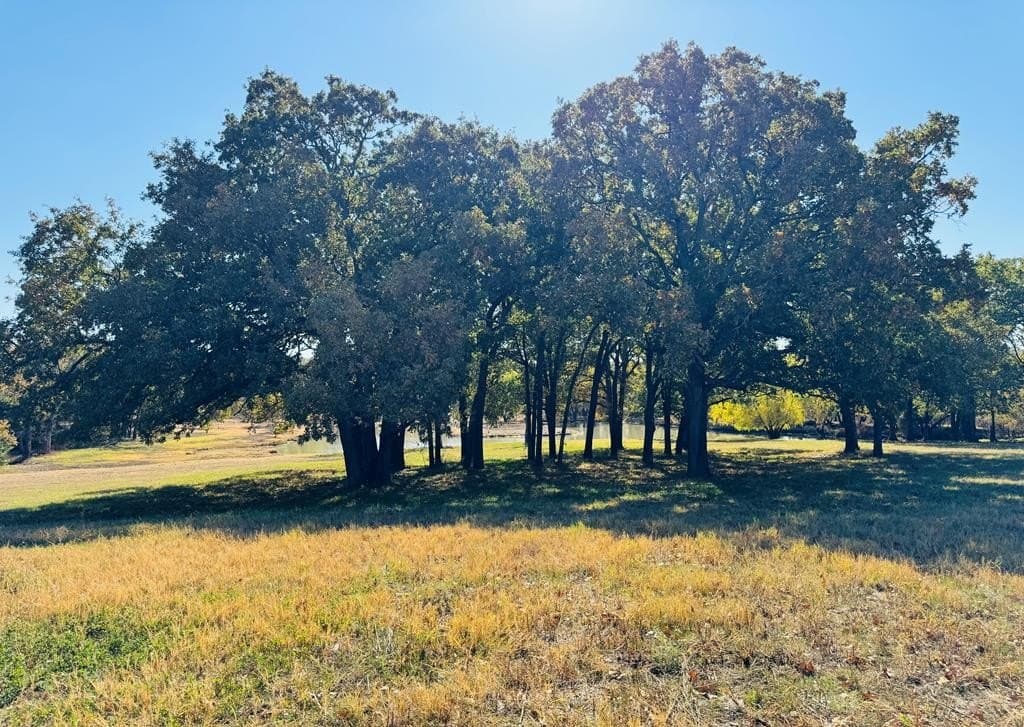 21.93 acres in Kaufman County - photo 35