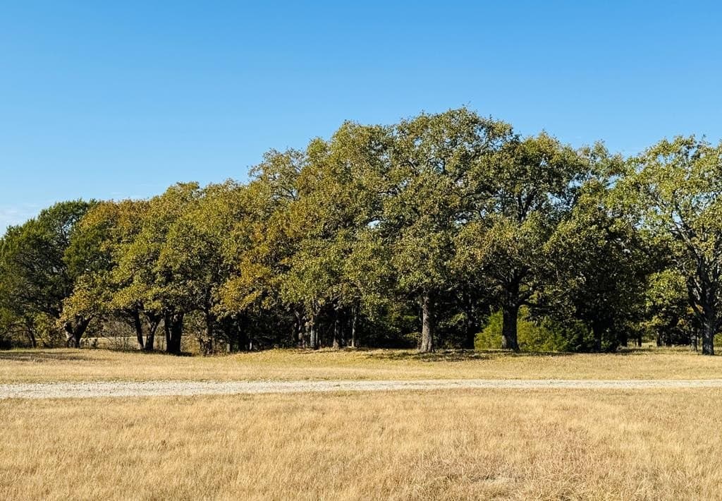 21.93 acres in Kaufman County - photo 26