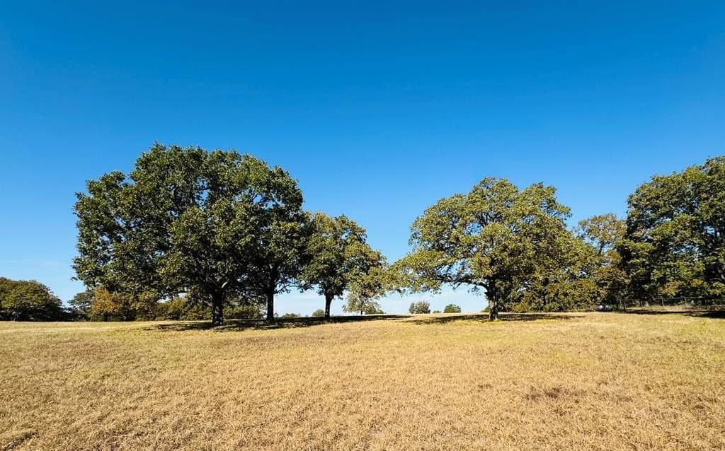 21.93 acres in Kaufman County - photo 33