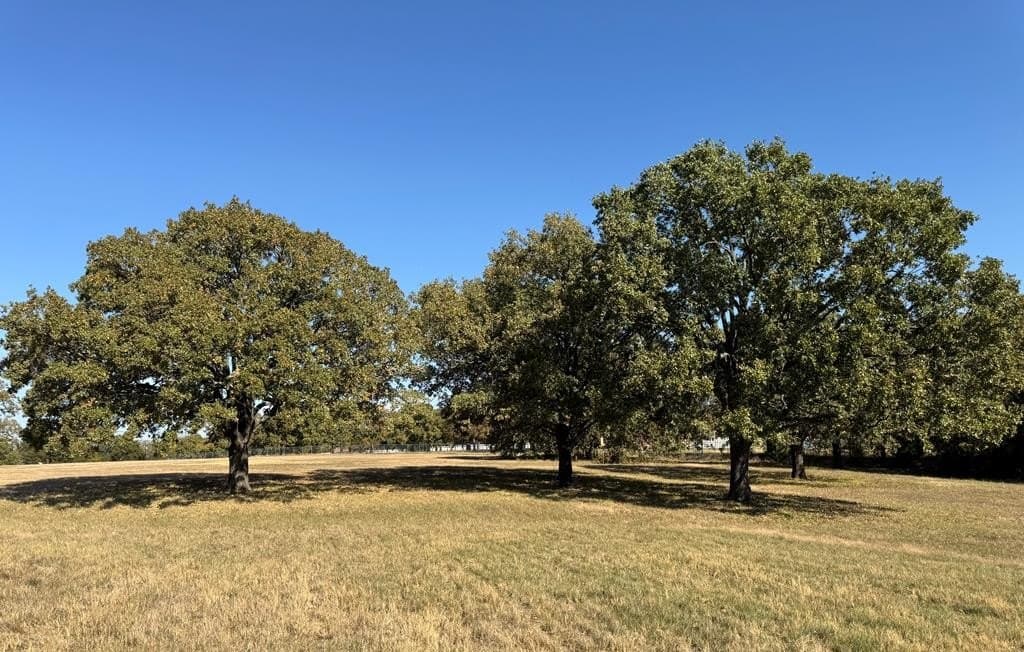 21.93 acres in Kaufman County - photo 31