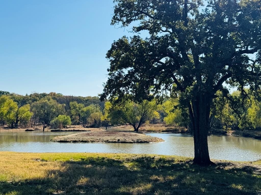 21.93 acres in Kaufman County - photo 29