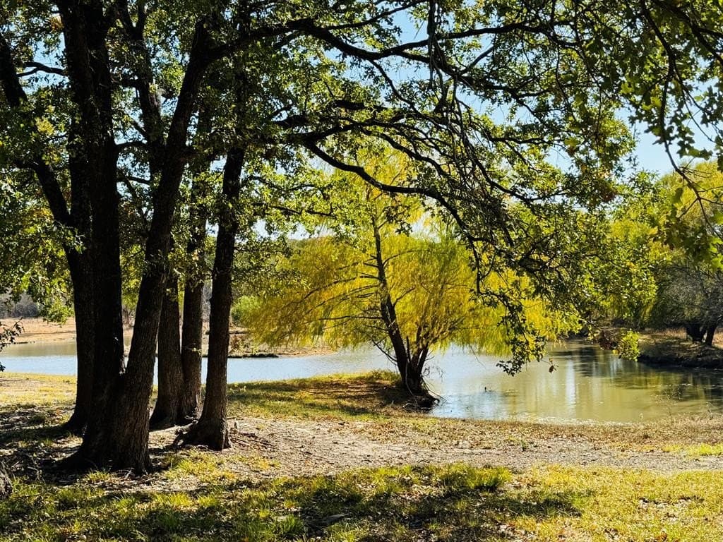 21.93 acres in Kaufman County - photo 28