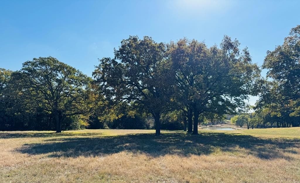 21.93 acres in Kaufman County - photo 25