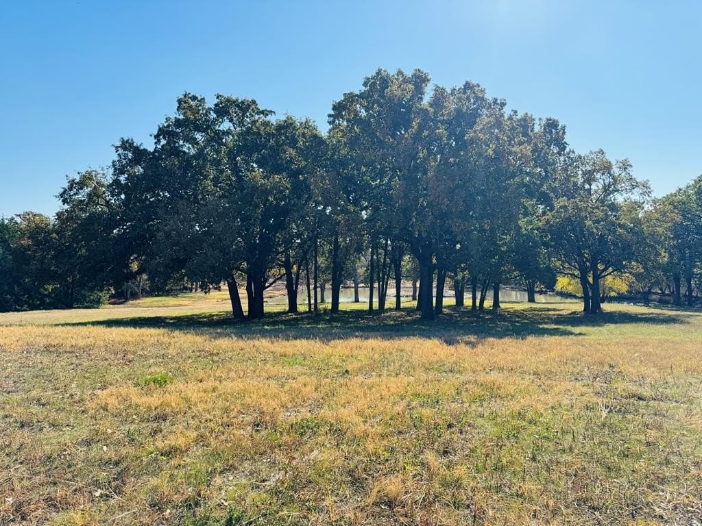 21.93 acres in Kaufman County - photo 45