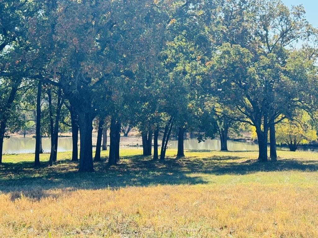 21.93 acres in Kaufman County - photo 44