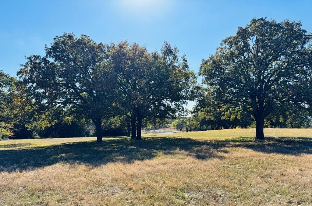21.93 acres in Kaufman County - photo 24
