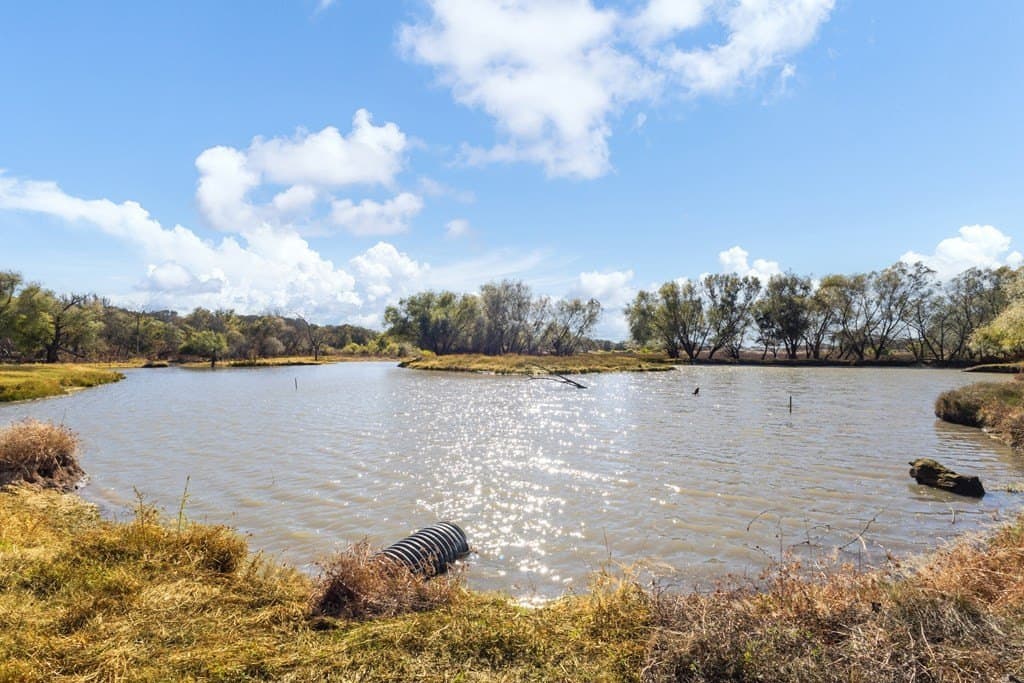21.93 acres in Kaufman County - photo 17