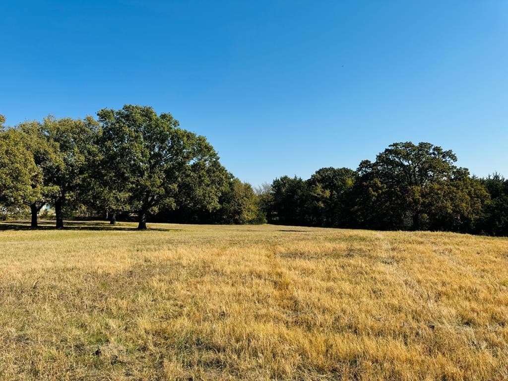 21.93 acres in Kaufman County - photo 43