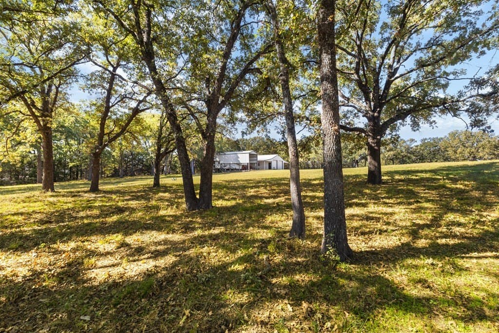 21.93 acres in Kaufman County - photo 14