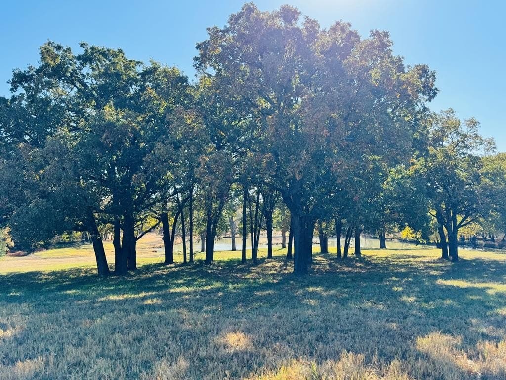 21.93 acres in Kaufman County - photo 36