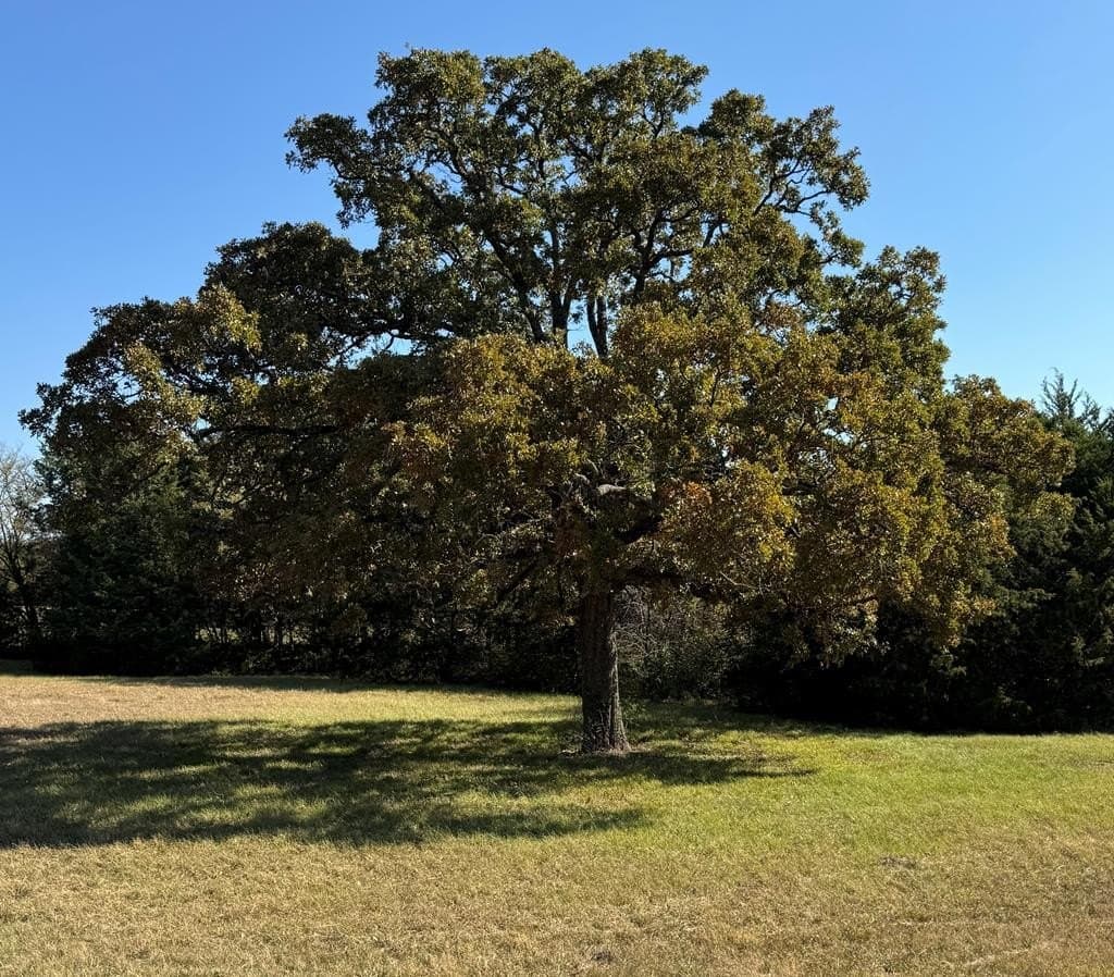 21.93 acres in Kaufman County - photo 32