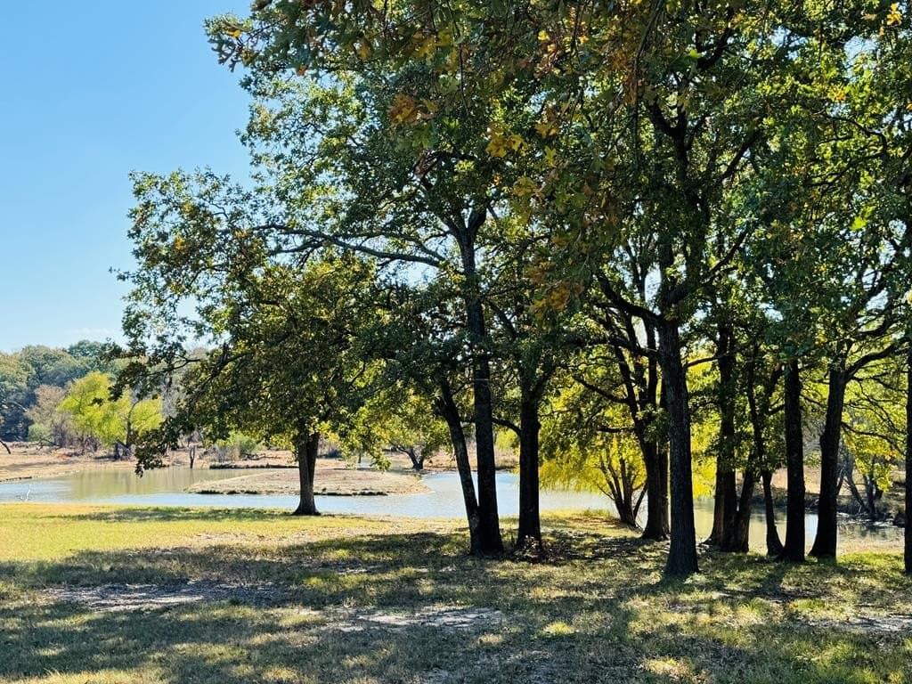 21.93 acres in Kaufman County - photo 27