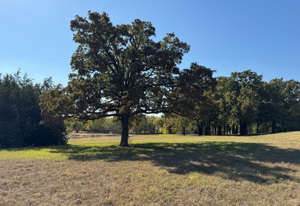 21.93 acres in Kaufman County - photo 34