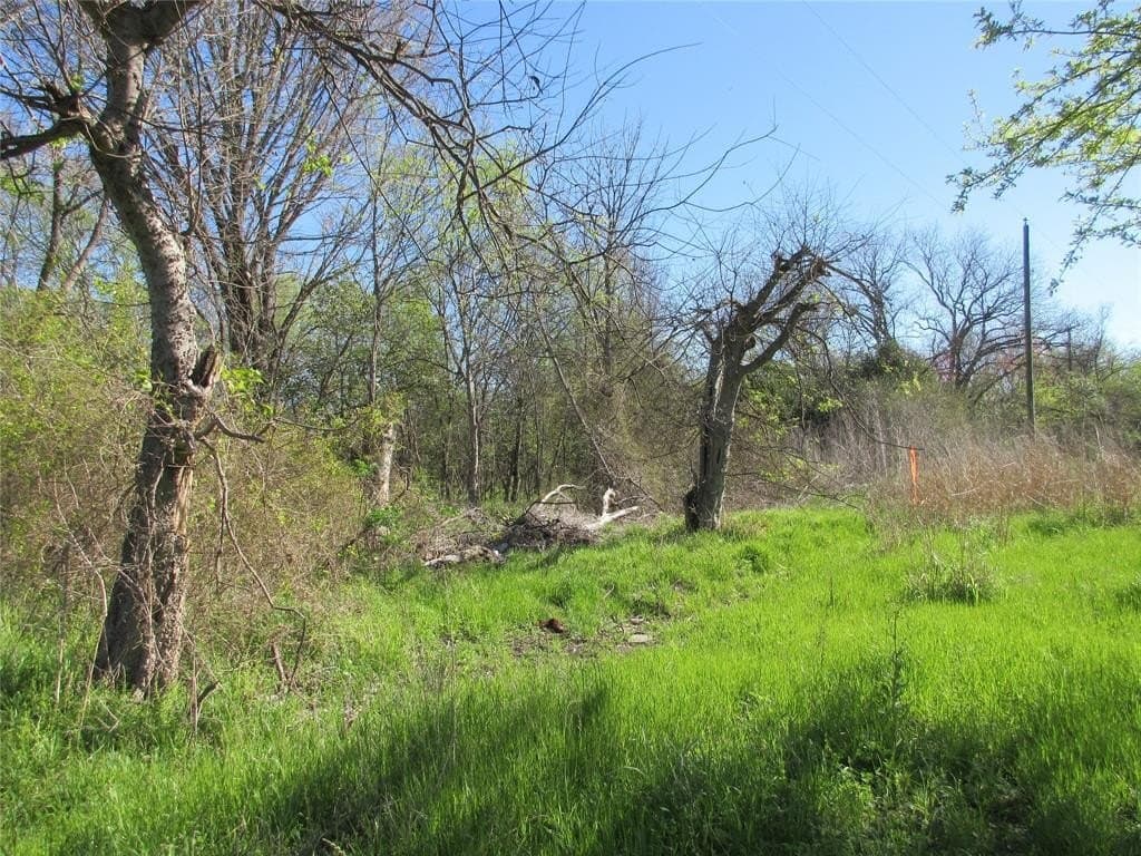 0.11 acres in Falls County - photo 2