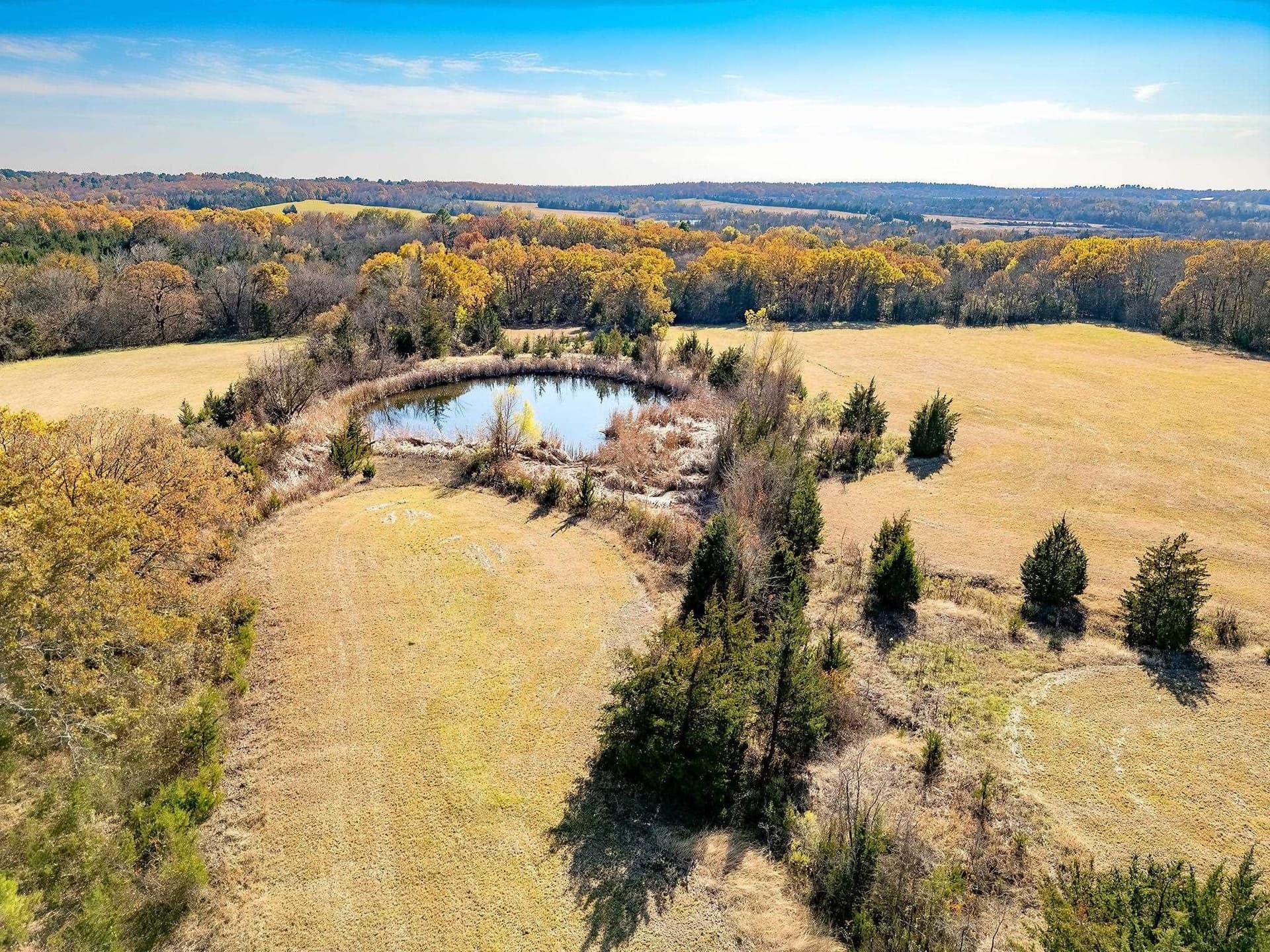 65.93 acres in Red River County - photo 43