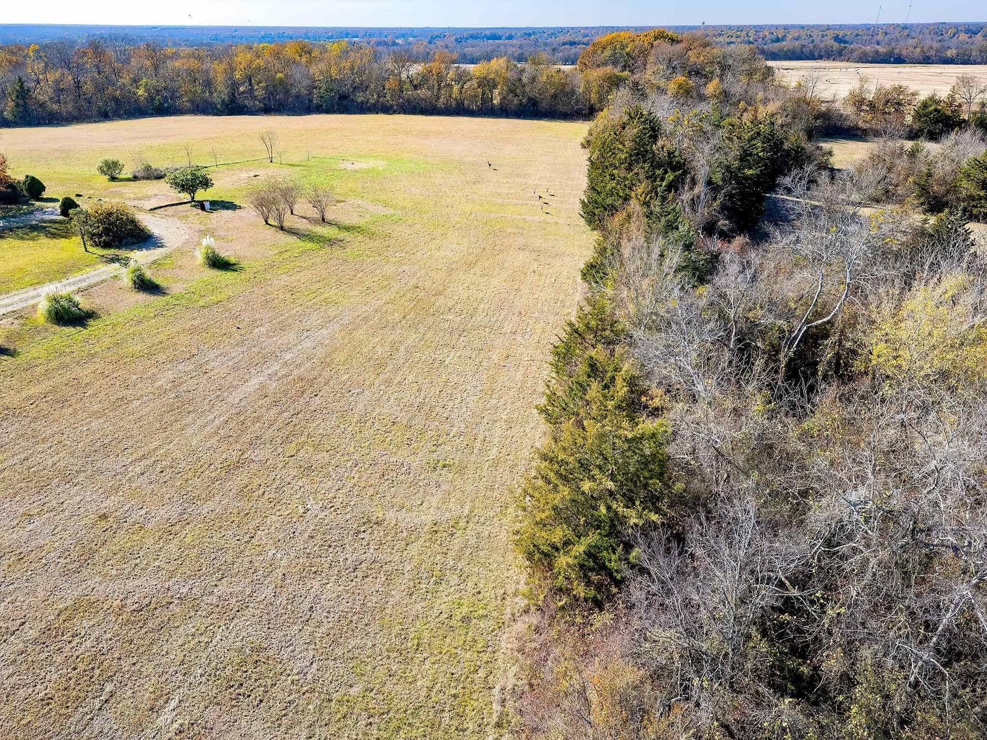 65.93 acres in Red River County - photo 41