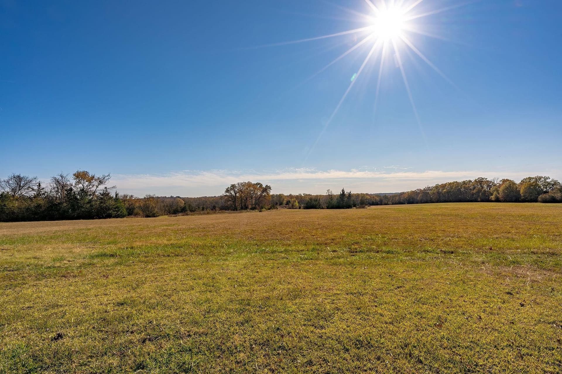 65.93 acres in Red River County - photo 44