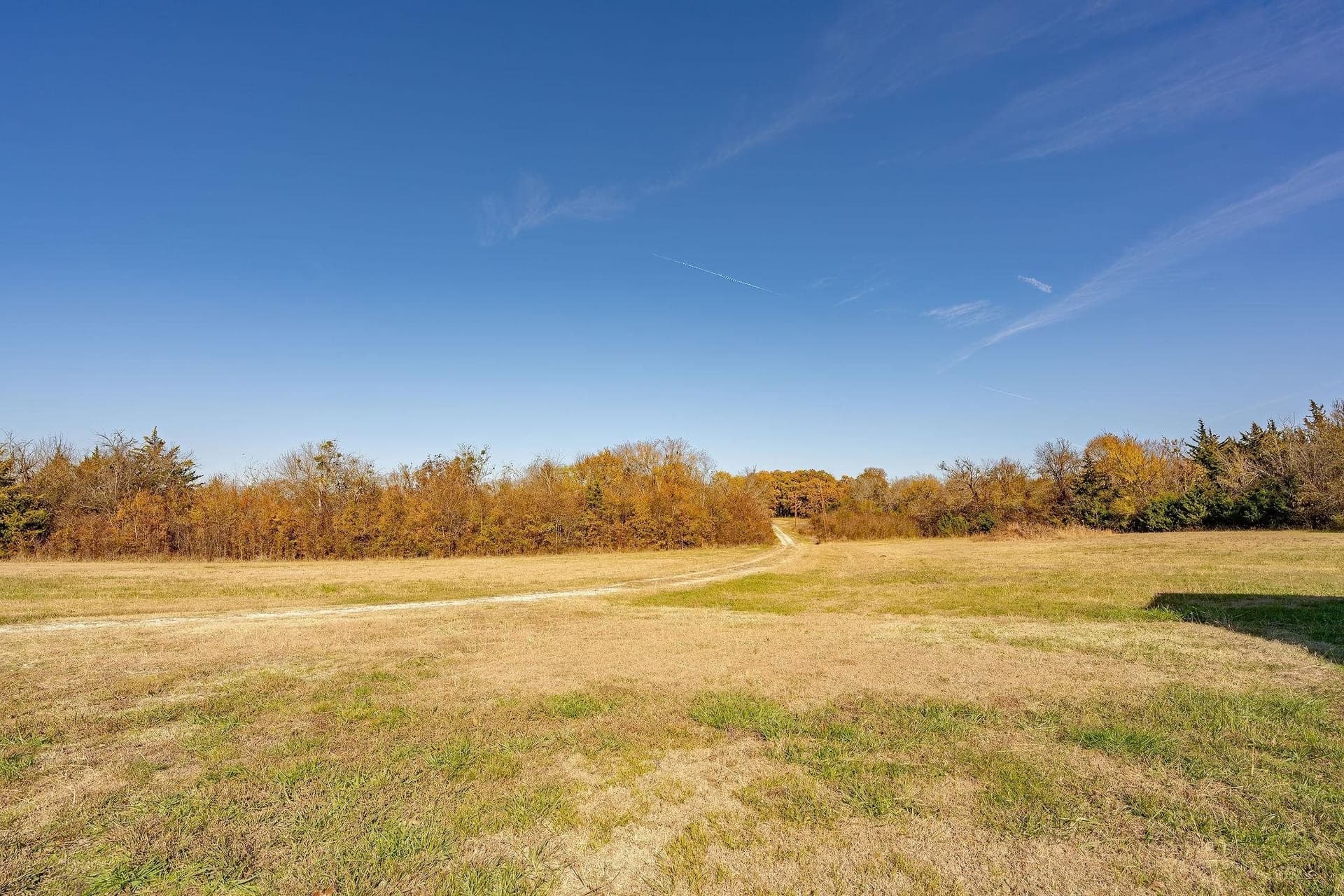 65.93 acres in Red River County - photo 6