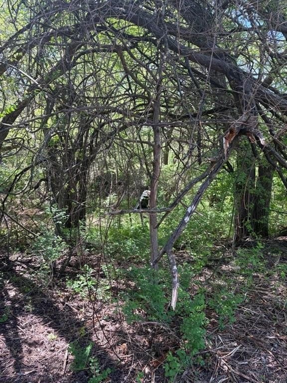 3.69 acres in Grayson County - photo 13