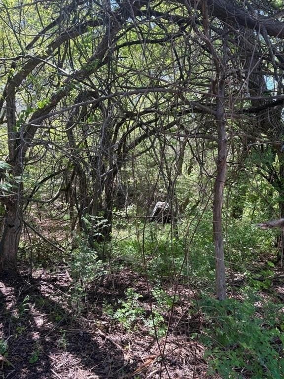 3.69 acres in Grayson County - photo 14