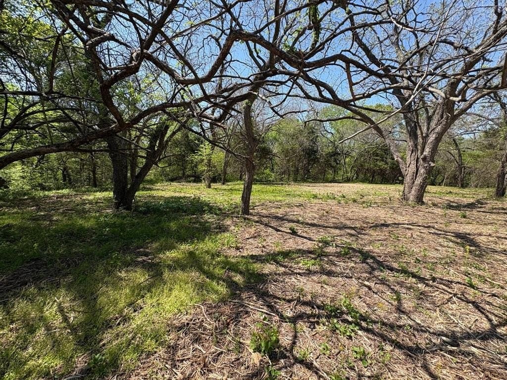 3.69 acres in Grayson County - photo 5