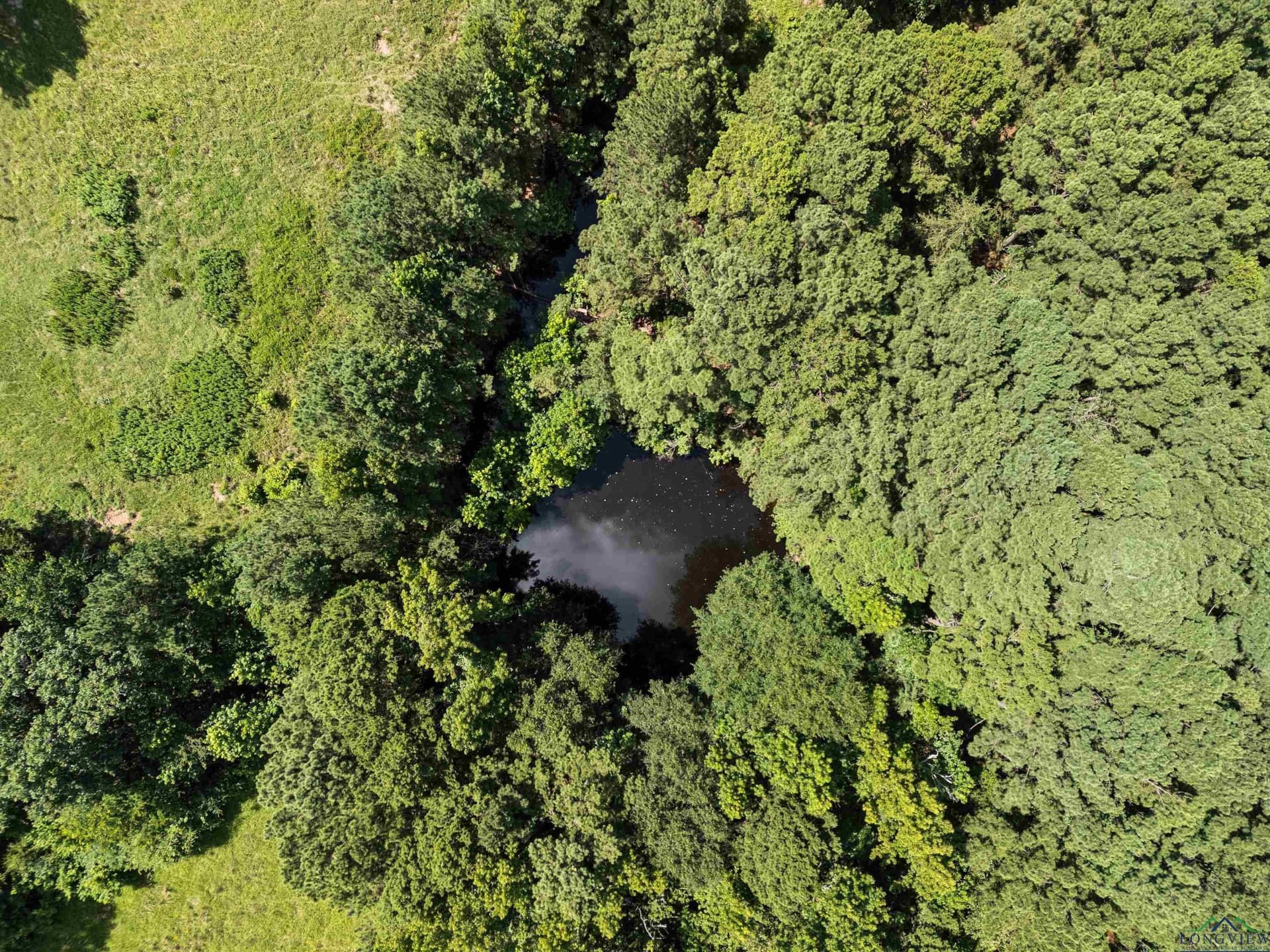 20.36 acres in Wood County - photo 37