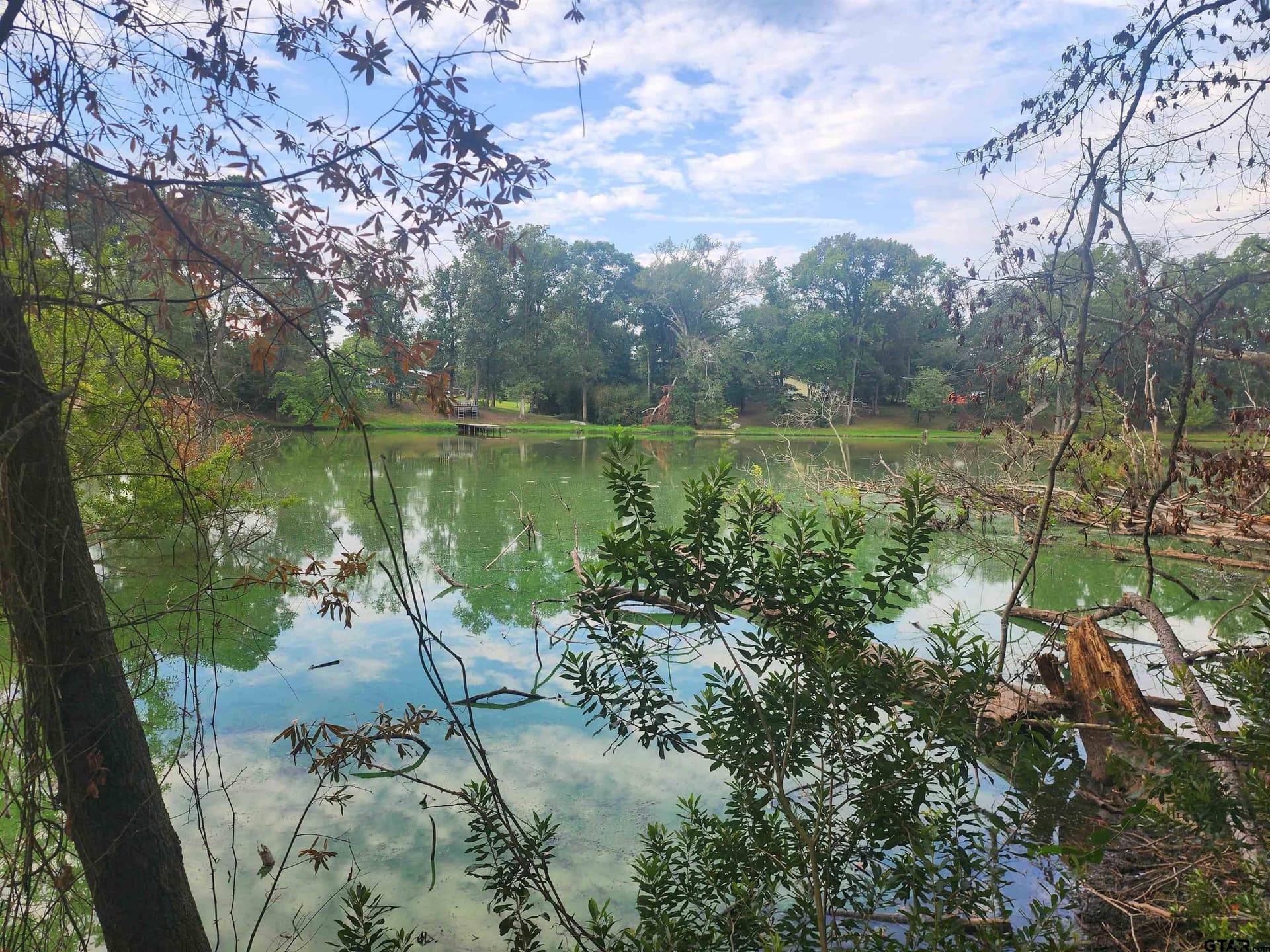 2.06 acres in Camp County - photo 5