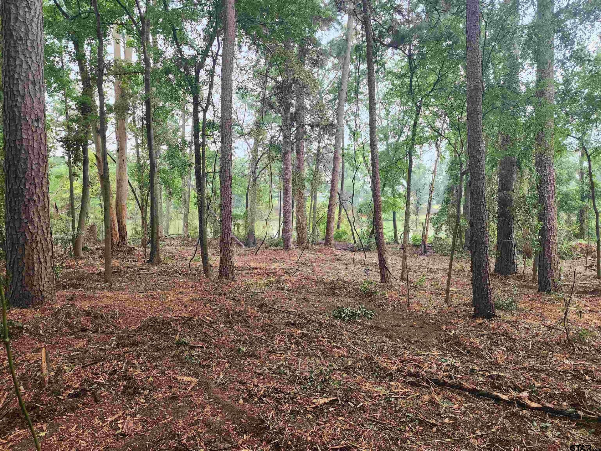 2.06 acres in Camp County - photo 2