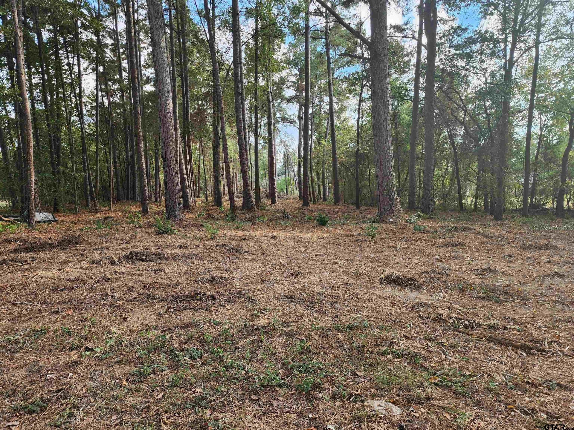 2.06 acres in Camp County - photo 4