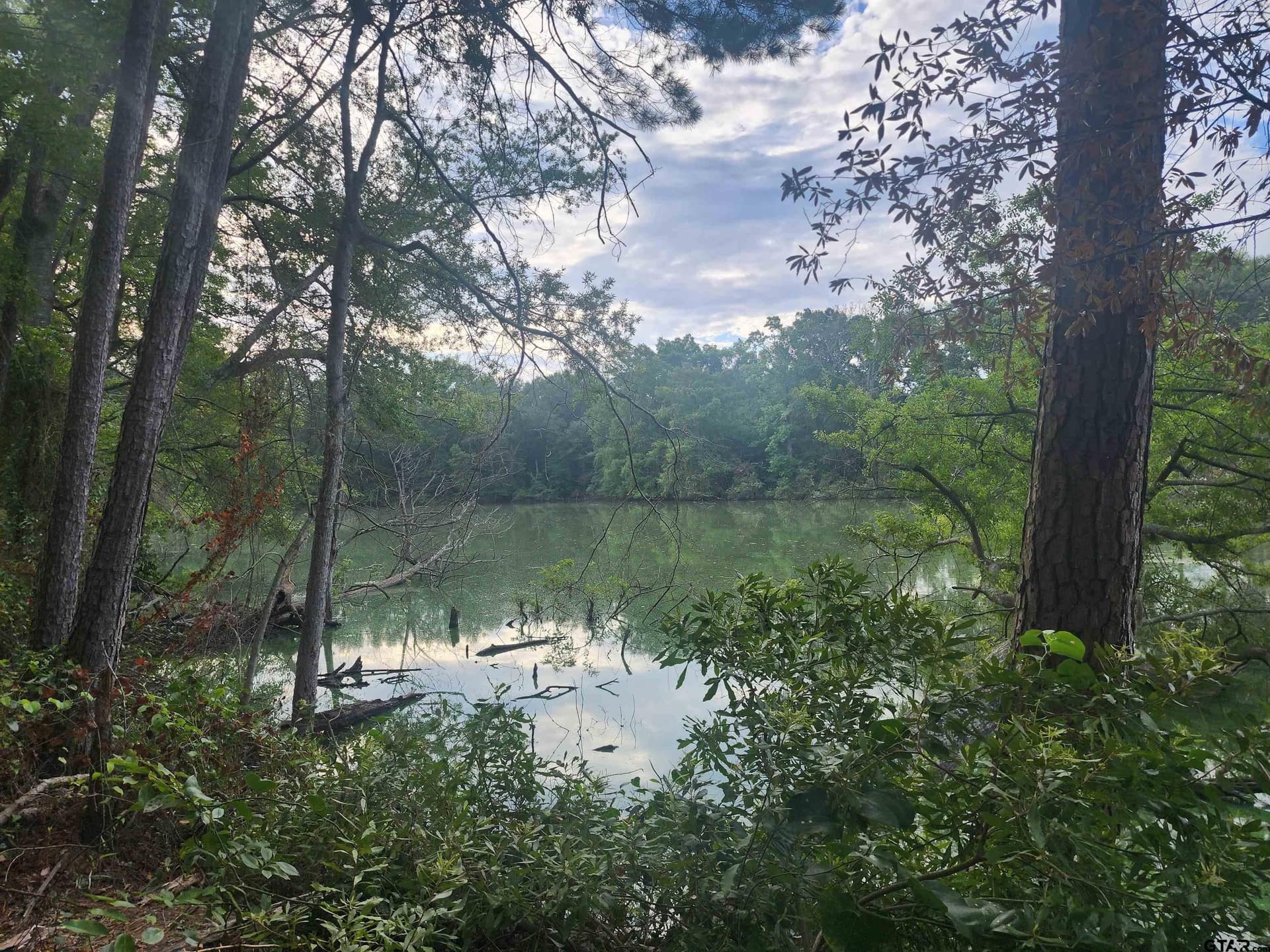 2.06 acres in Camp County - photo 3